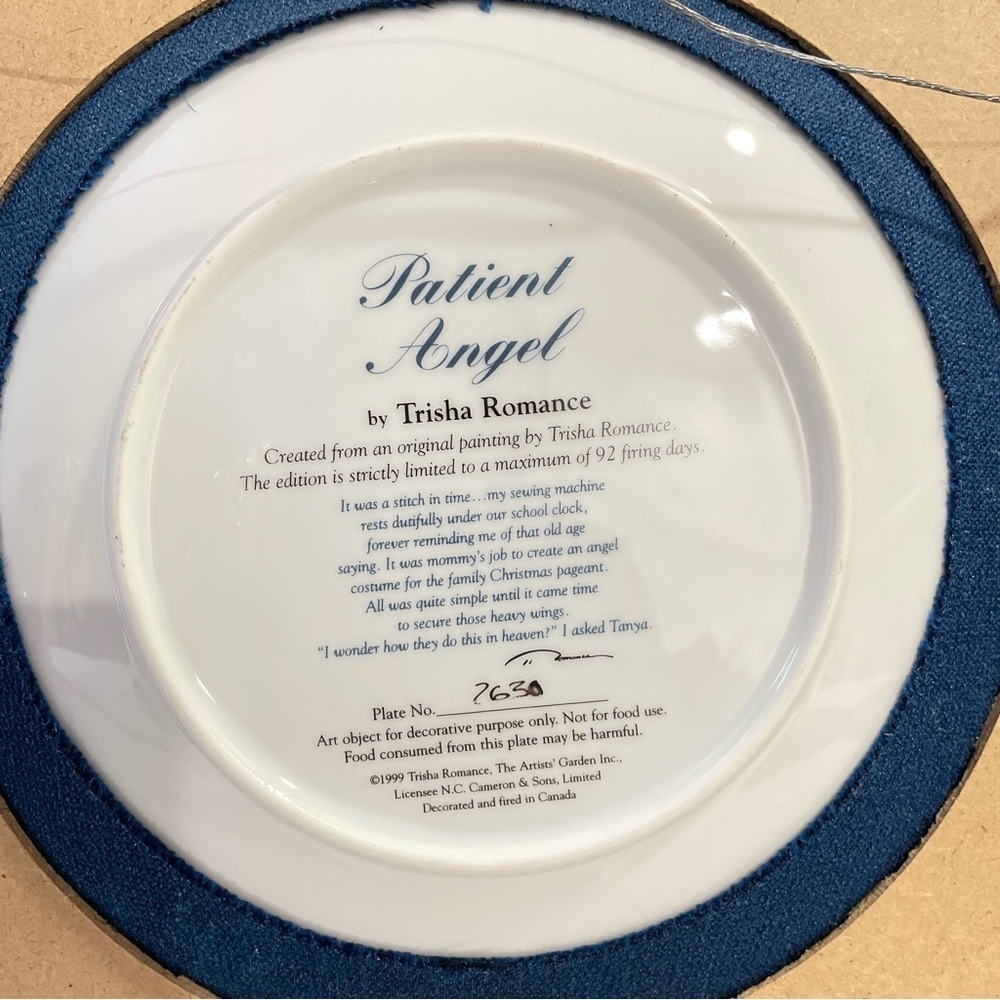 Vintage 1999 Trisha Romance Patient Angel Framed Collector’s Plate Wall Decor - Picture 5 of 11